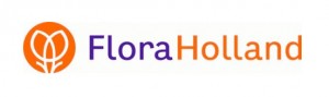 Flora Holland Bild